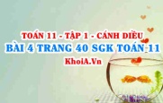 Bài 4 trang 40 SGK Toán 11 tập 1 Cánh Diều